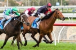 Lady Melksham looking for back to back Cockram Stakes wins
