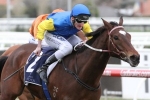 Soft 5 for Makybe Diva Stakes Race Day