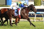 Gregers On Top Of Carlyon Stakes Field