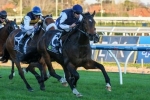 Caulfield Cup Odds Remain Steady for Stipulate