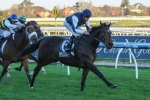 Stipulate Takes Crackerjack King’s Place In Turnbull Stakes Field