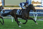 Caulfield Cup Barrier To Help Stipulate