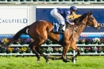 Super Cool and Atlantic Jewel to clash in Caulfield Stakes