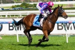 Oakleigh Plate The Autumn Goal For Fast ‘N’ Rocking