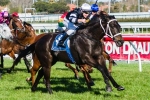 Sincero to head straight to Melbourne for the Memsie Stakes
