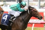 Humidor among the 2019 Memsie Stakes nominations