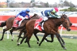 Merchant Navy to set sail into Sydney for Golden Rose Stakes