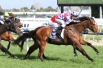 Fell Swoop Takes Out Testa Rossa Stakes