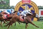 No Caulfield Cup Penalty For Magnapal