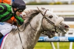 Gris Caro into Caulfield Cup with Naturalism Stakes win