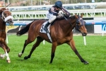 Competitive Melbourne Cup 2014 the Aim for Mr O’Ceirin