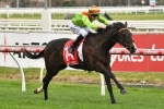 Begood Toya Mother was too good for his rivals with Sir Rupert Clarke Stakes win