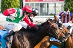 Solzhenitsyn Looking For A Mile After Narrow Sir Rupert Clarke Stakes Defeat