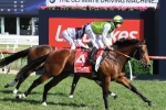 Blinkers on freshened up Divine Prophet in All Aged Stakes