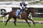 Amralah Will Not Contest 2015 Caulfield Cup