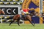 Caulfield Guineas Results sees Press Statement a class above his rivals