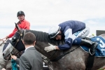 Hall Delighted With Fawkner’s Cox Plate Form
