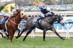 Caulfield Stakes winner Fawkner on song for Cox Plate
