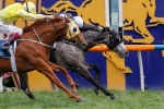 Cox Plate 2014: Criterion still solid in the betting