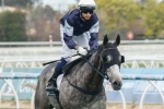 Fawkner among huge nominations for 2015 Memsie Stakes