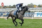 2014 Cox Plate Betting: Fawkner To Start Favourite