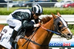 Missy Longstocking for Coolmore after Thoroughbred Club Stakes win