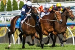 2013 Melbourne Cup: Sea Moon Worked Like The Winner