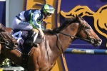 Keen Array over the odds for Carlyon Stakes