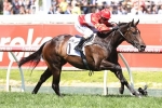 McDonald expects Invincible Star to zoom in on Redzel in The Shorts 2018
