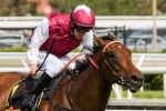Guelph Can Return To Best Form In Phar Lap Stakes