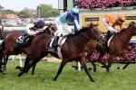 Caulfield Cup 2015: 2400 Metres Too Short For Fame Game