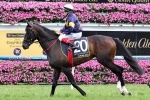 Melbourne Cup Start  Not Guranteed For Araldo