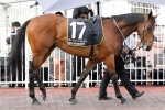 Big Memory’s Melbourne Cup Hopes On The Line In Lexus Stakes