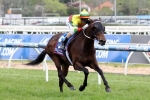 2014 Emirates Stakes Tips: Lucky Hussler and Hooked Tough To Split