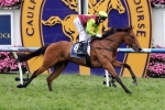 Set Square ticks all the boxes for 2014 Crown Oaks