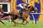 Sweet Idea is ready to claim first G1 in Myer Classic