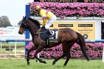 Melbourne Cup hopeful Unchain My Heart to be ridden by Dean Yendall