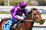 Boban repeats Epsom win in Moonga Stakes