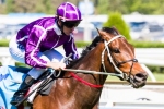 Nine-Horse Contingent for Waller in Chipping Norton Stakes Nominations