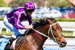Boban Headlines 2013 Emirates Stakes Final Field
