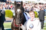 Melbourne Cup The Sole Spring Target For Dandino