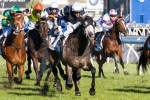 Cox Plate The Spring Target For Fawkner