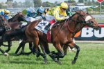 Dunaden A 50/50 Chance To Contest 2013 Melbourne Cup