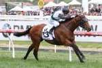 BoomTime better than Melbourne Cup odds suggest