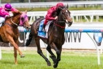 2014 Melbourne Cup: O’Brien Relying On Lexus Stakes Win