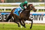 Low Expectations For Sertorius In Caulfield Stakes