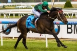 Edwards Delighted With Sertorius Ahead Of Turnbull Stakes