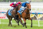 Nordic Empire Remains On Track For Magic Millions