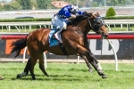 Undeniably To Have Final Start For Kavanagh In Doveton Stakes