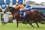 Craftiness To Face Toughest Test In Hall Mark Stakes